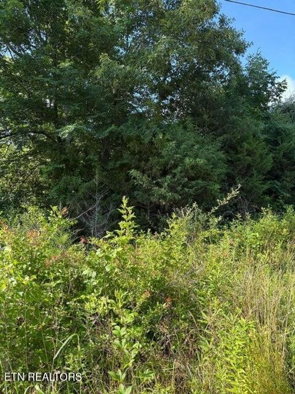 6 Old Furnace Rd, Tellico Plains, TN 37385