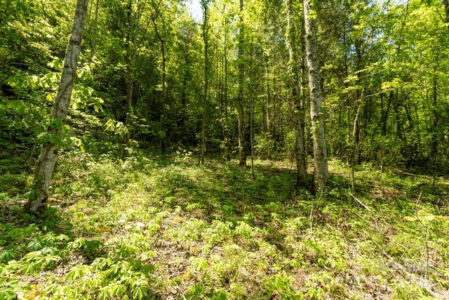 Off of Locust Creek Road, Sylva, NC 28779