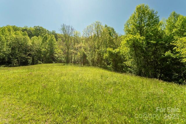 Off of Locust Creek Road, Sylva, NC 28779