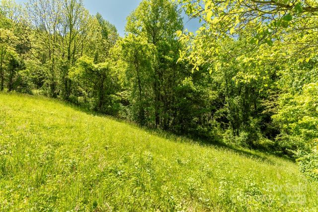 Off of Locust Creek Road, Sylva, NC 28779