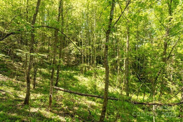 Off of Locust Creek Road, Sylva, NC 28779