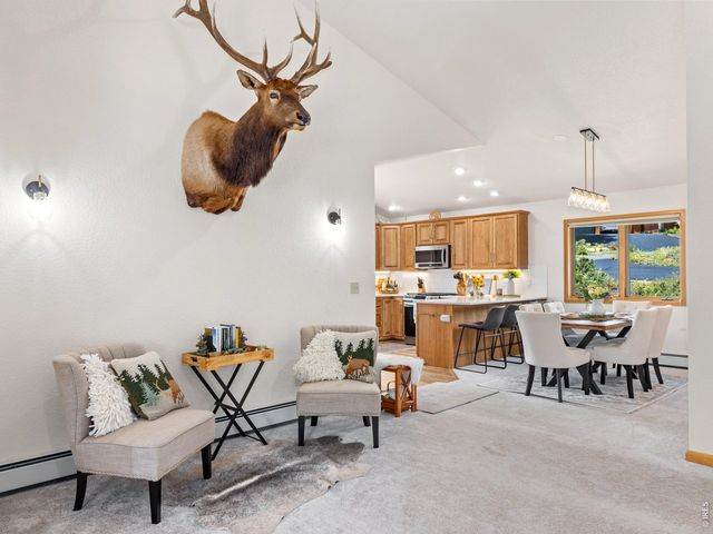 680 Cedar Ridge Cir, Estes Park, CO 80517