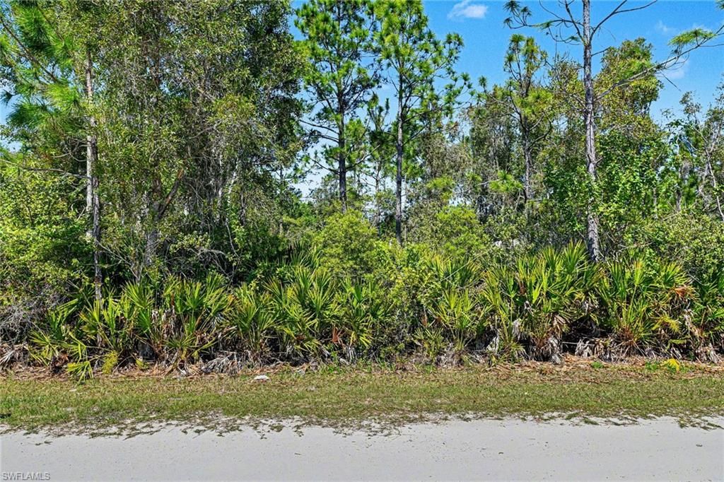 12097 Platano DR, PUNTA GORDA, FL 33955 — exterior
