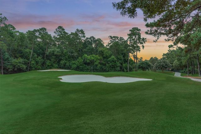 24 Autumn Crescent, The Woodlands, TX 77381