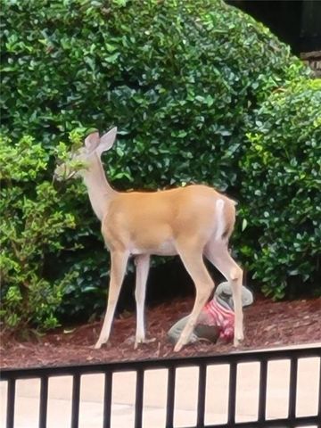 7270 Flowery Branch Road, Cumming, GA 30041