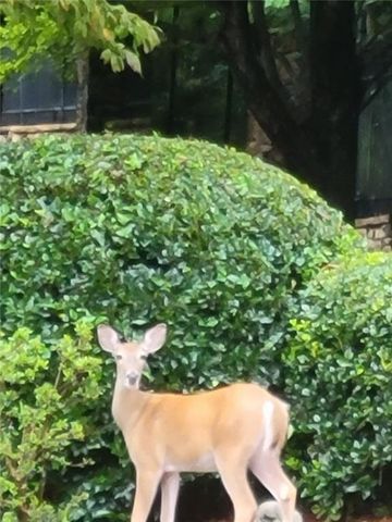 7270 Flowery Branch Road, Cumming, GA 30041