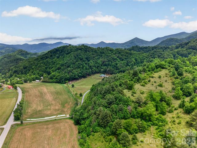 227 Black Bear Cove, Clyde, NC 28721