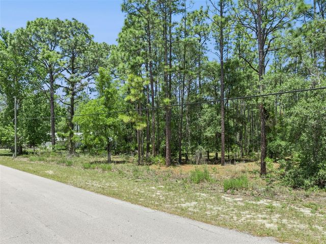 1797 W UNION STREET, Hernando, FL 34442