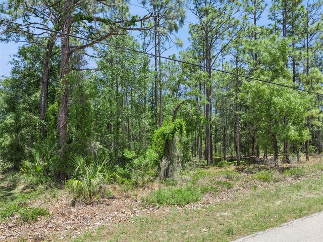 1797 W UNION STREET, Hernando, FL 34442