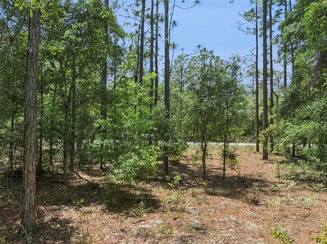 1797 W UNION STREET, Hernando, FL 34442