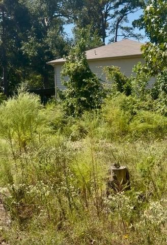 18944 Iris Ln, Porter, TX 77365