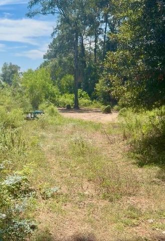 18944 Iris Ln, Porter, TX 77365