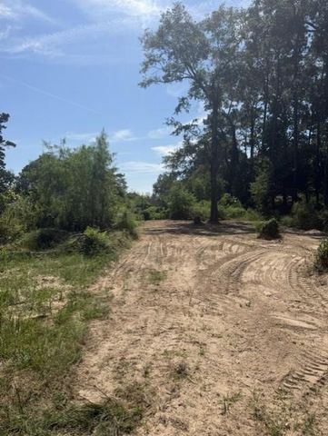 18944 Iris Ln, Porter, TX 77365