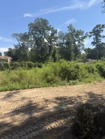 18944 Iris Ln, Porter, TX 77365