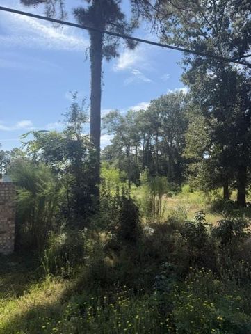 18944 Iris Ln, Porter, TX 77365