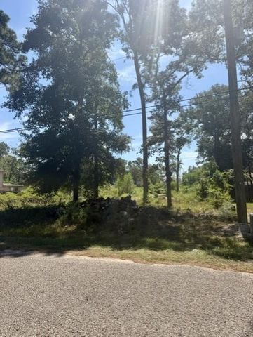 18944 Iris Ln, Porter, TX 77365
