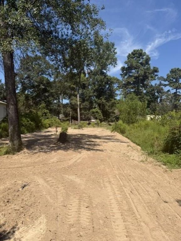 18944 Iris Ln, Porter, TX 77365
