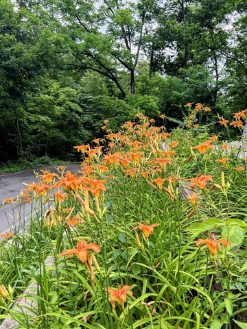 1760 Montague Road, Covington, KY 41011