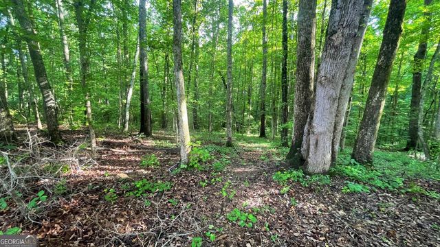 656 Belmont Road, Villa Rica, GA 30180