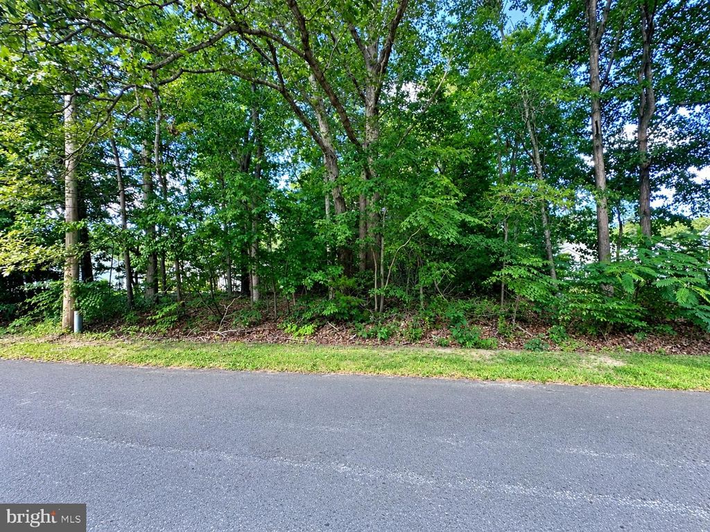 10005 MASON RD, Berlin, MD 21811