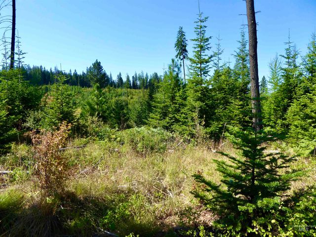 TBD Peaceful Valley Rd Lots 7 & 8, Kamiah, ID 83536