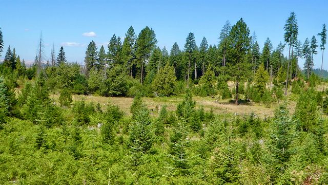 TBD Peaceful Valley Rd Lots 7 & 8, Kamiah, ID 83536