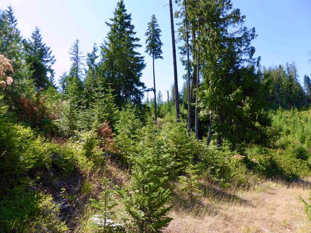 TBD Peaceful Valley Rd Lots 7 & 8, Kamiah, ID 83536