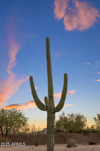 17892 E SILVER SAGE Lane, Rio Verde, AZ 85263