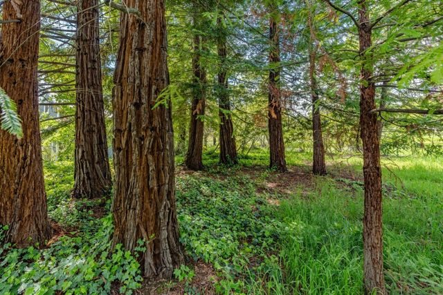 10690 White Oak Rd, Plymouth, CA 95669