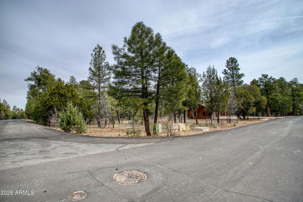 Image 37 of property listing at 1961 S KNOLL Trail, Show Low, AZ 85901