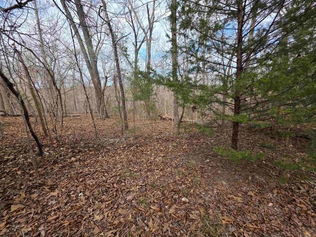 L-42 B-1 Robin Hood Lane, Hardy, AR 72542