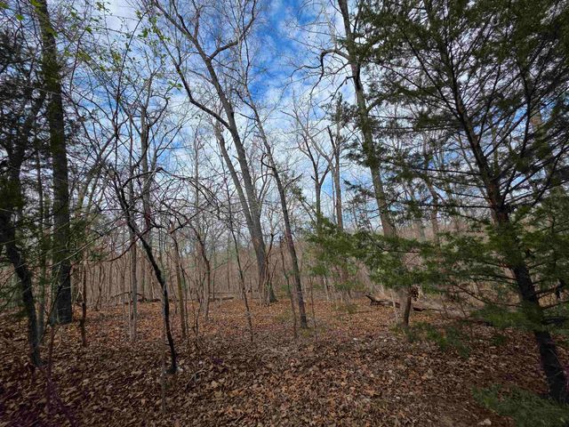 L-42 B-1 Robin Hood Lane, Hardy, AR 72542
