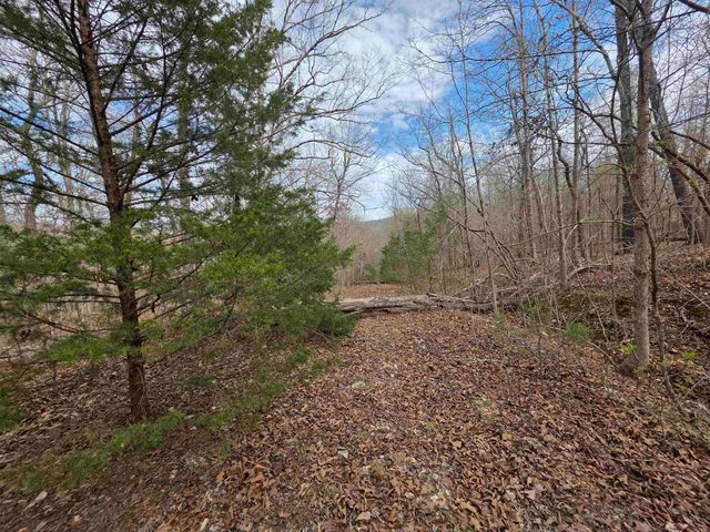 L-42 B-1 Robin Hood Lane, Hardy, AR 72542