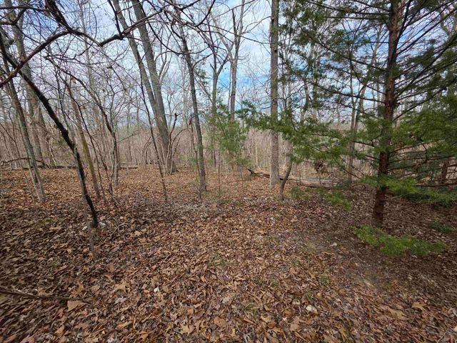 L-42 B-1 Robin Hood Lane, Hardy, AR 72542