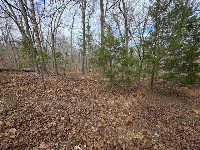 L-42 B-1 Robin Hood Lane, Hardy, AR 72542