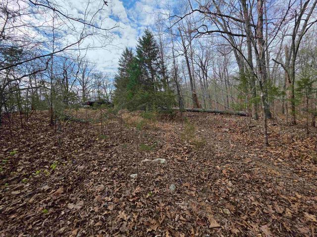L-42 B-1 Robin Hood Lane, Hardy, AR 72542