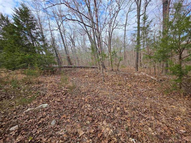 L-42 B-1 Robin Hood Lane, Hardy, AR 72542