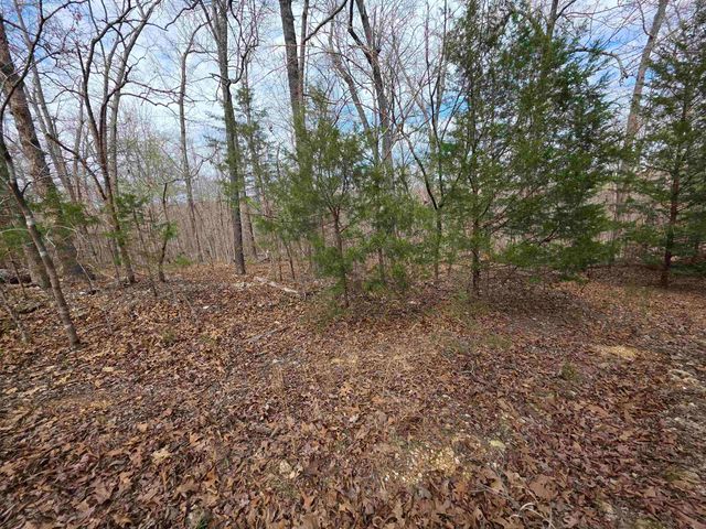 L-42 B-1 Robin Hood Lane, Hardy, AR 72542
