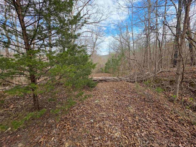 L-42 B-1 Robin Hood Lane, Hardy, AR 72542