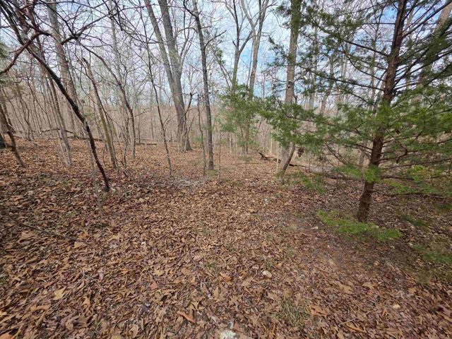 L-42 B-1 Robin Hood Lane, Hardy, AR 72542