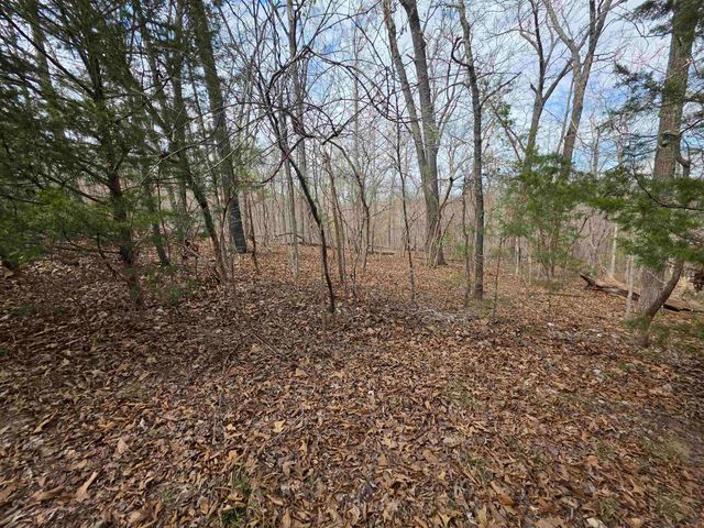 L-42 B-1 Robin Hood Lane, Hardy, AR 72542