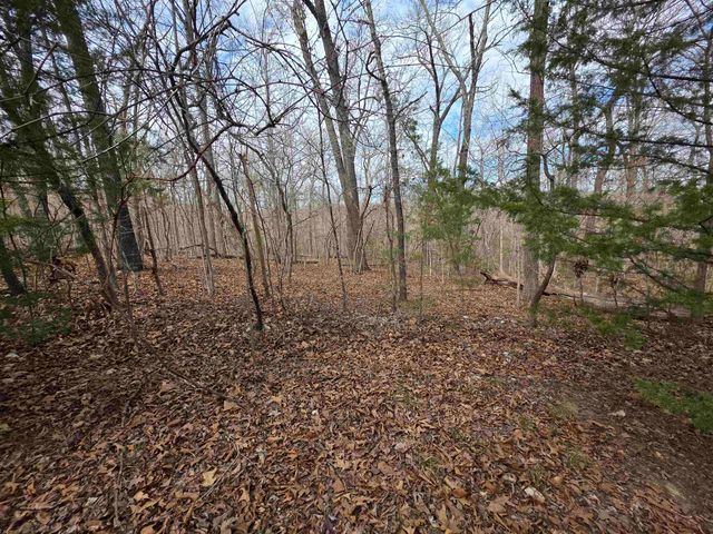 L-42 B-1 Robin Hood Lane, Hardy, AR 72542
