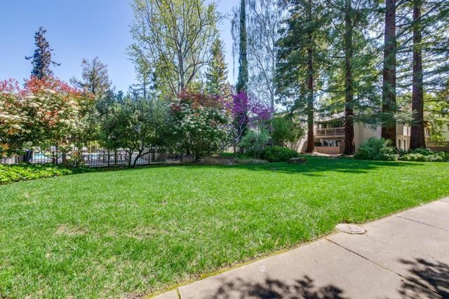 19816 Vineyard Lane, Saratoga, CA 95070