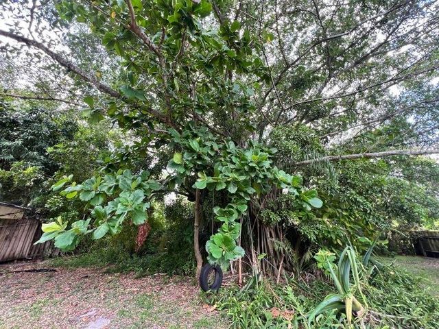 1732 NE 15TH Avenue, Fort Lauderdale, FL 33305