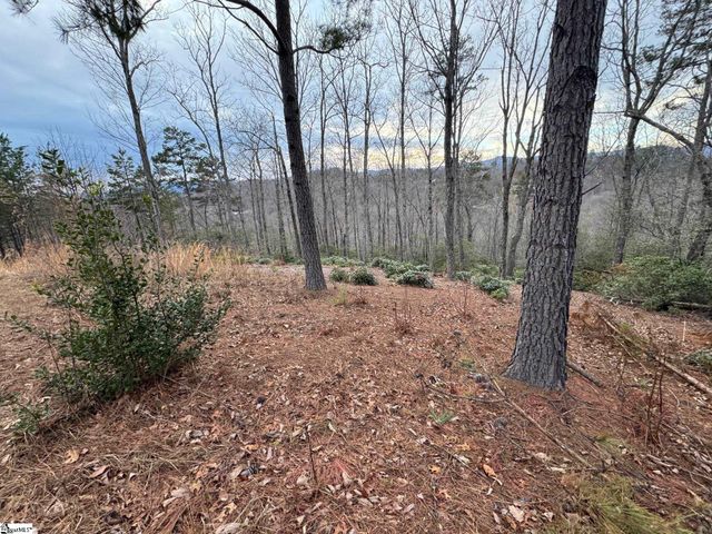 40 Secret Hollow Trail, Marietta, SC 29661