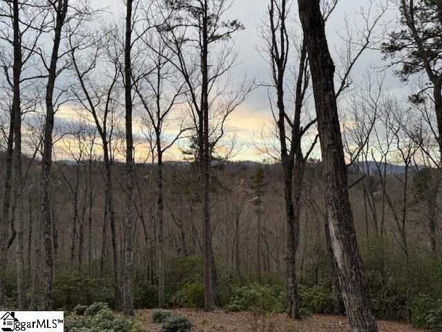 40 Secret Hollow Trail, Marietta, SC 29661