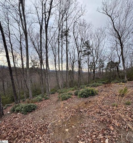 40 Secret Hollow Trail, Marietta, SC 29661