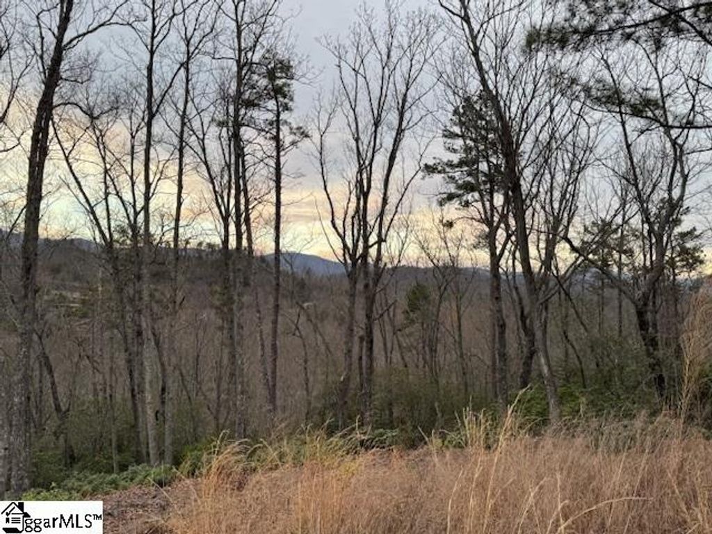 40 Secret Hollow Trail, Marietta, SC 29661