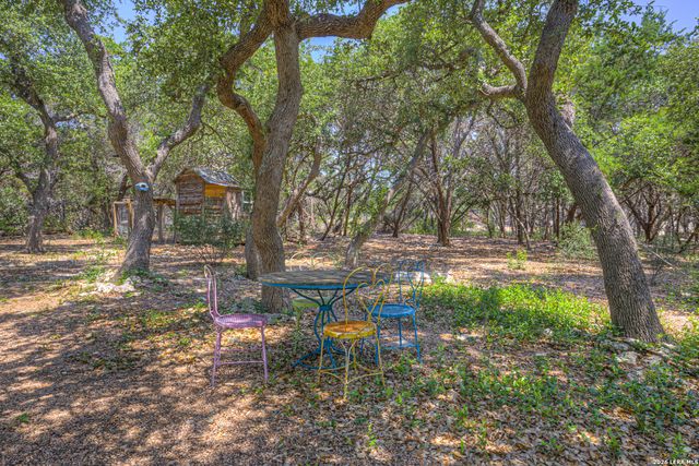 1133 BALDY MOUNTAIN CT, Canyon Lake, TX 78133