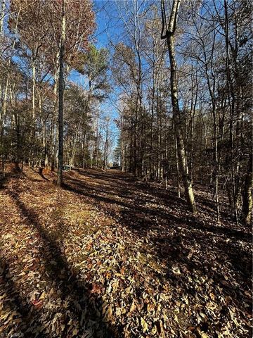 1089 Annie Sophia Lane, Roaring River, NC 28669